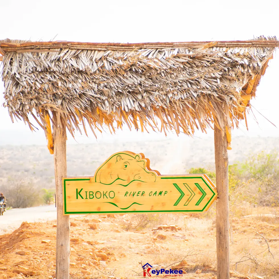 Aerial View of Plots